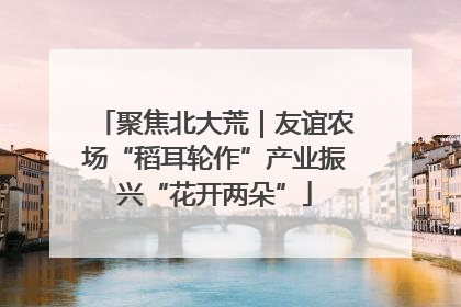 聚焦北大荒｜友谊农场“稻耳轮作”产业振兴“花开两朵”