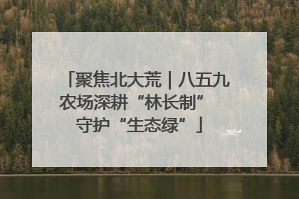 聚焦北大荒｜八五九农场深耕“林长制” 守护“生态绿”