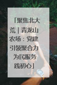 聚焦北大荒｜青龙山农场：党建引领聚合力 为民服务践初心