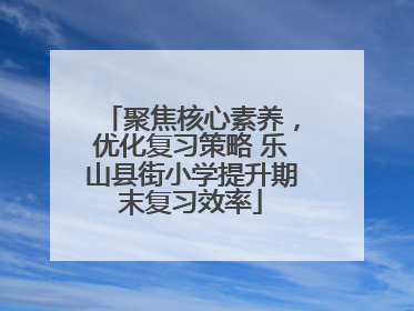 聚焦核心素养，优化复习策略 乐山县街小学提升期末复习效率