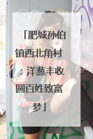 肥城孙伯镇西北角村：洋葱丰收圆百姓致富梦