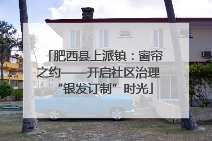 肥西县上派镇：窗帘之约——开启社区治理“银发订制”时光
