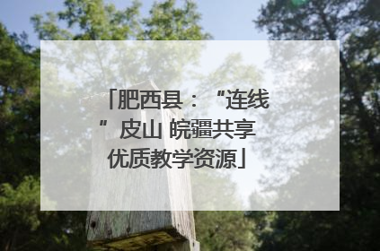 肥西县：“连线”皮山 皖疆共享优质教学资源