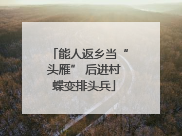 能人返乡当“头雁” 后进村蝶变排头兵