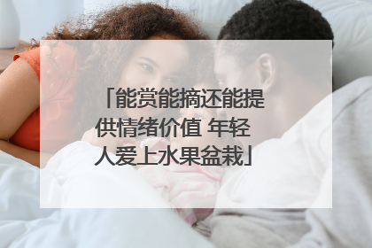 能赏能摘还能提供情绪价值 年轻人爱上水果盆栽