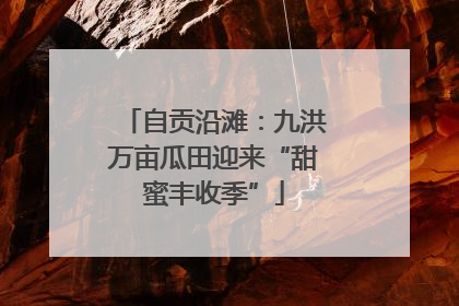 自贡沿滩：九洪万亩瓜田迎来“甜蜜丰收季”