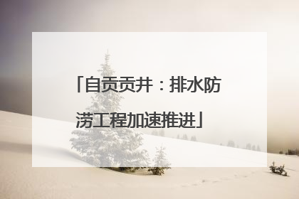 自贡贡井：排水防涝工程加速推进