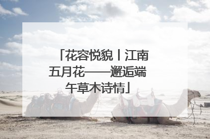 花容悦貌丨江南五月花——邂逅端午草木诗情