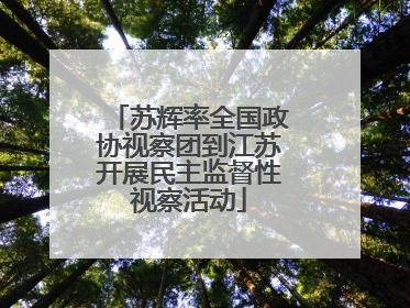 苏辉率全国政协视察团到江苏开展民主监督性视察活动
