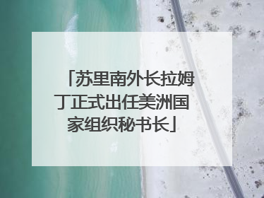 苏里南外长拉姆丁正式出任美洲国家组织秘书长