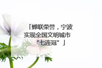 蝉联荣誉，宁波实现全国文明城市“七连冠”