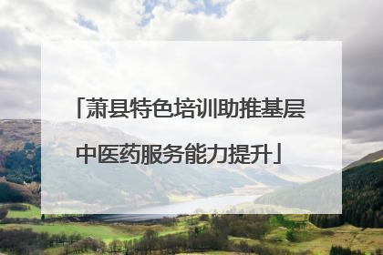 萧县特色培训助推基层中医药服务能力提升