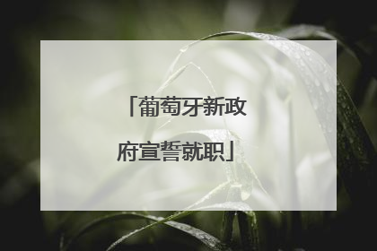 葡萄牙新政府宣誓就职