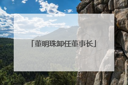 董明珠卸任董事长