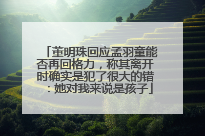 董明珠回应孟羽童能否再回格力，称其离开时确实是犯了很大的错：她对我来说是孩子
