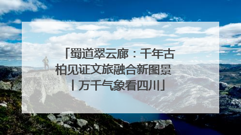 蜀道翠云廊：千年古柏见证文旅融合新图景丨万千气象看四川