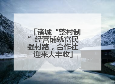 诸城“整村制”经营铺就富民强村路，合作社迎来大丰收