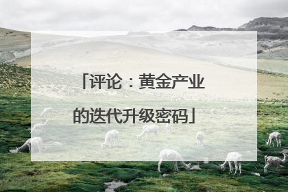 评论：黄金产业的迭代升级密码