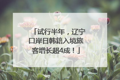 试行半年，辽宁口岸日韩籍入境旅客增长超4成！