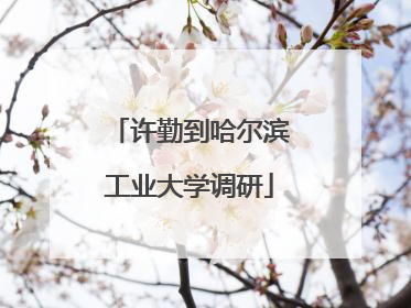 许勤到哈尔滨工业大学调研