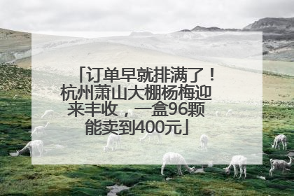 订单早就排满了！杭州萧山大棚杨梅迎来丰收，一盒96颗能卖到400元