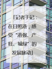 记者手记：在日照港，感受“港强、产旺、城绿”的发展脉动