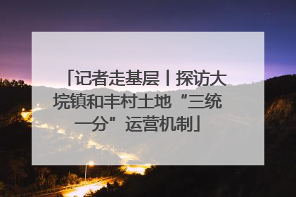 记者走基层丨探访大垸镇和丰村土地“三统一分”运营机制