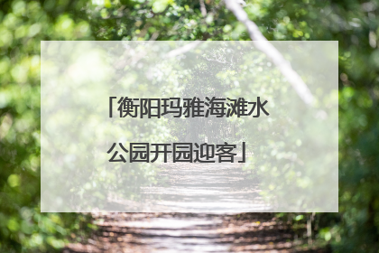 衡阳玛雅海滩水公园开园迎客