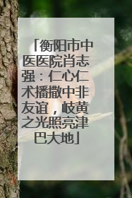 衡阳市中医医院肖志强：仁心仁术播撒中非友谊，岐黄之光照亮津巴大地