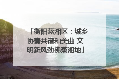 衡阳蒸湘区：城乡协奏共谱和美曲 文明新风劲拂蒸湘地