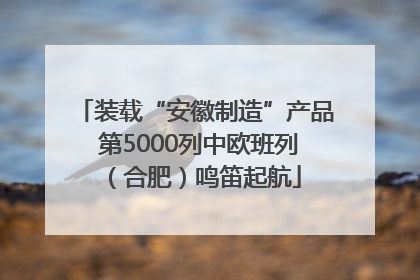 装载“安徽制造”产品 第5000列中欧班列（合肥）鸣笛起航