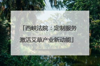 西峡法院：定制服务激活艾草产业新动能