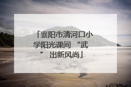 襄阳市清河口小学阳光课间 “武” 出新风尚