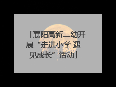 襄阳高新二幼开展“走进小学 遇见成长”活动