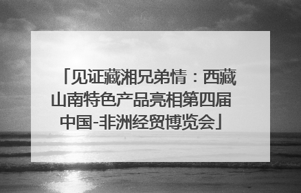 见证藏湘兄弟情：西藏山南特色产品亮相第四届中国-非洲经贸博览会