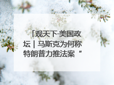 观天下·美国政坛｜马斯克为何称特朗普力推法案“令人作呕”
