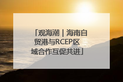 观海潮｜海南自贸港与RCEP区域合作互促共进