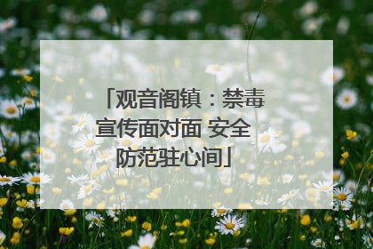 观音阁镇：禁毒宣传面对面 安全防范驻心间