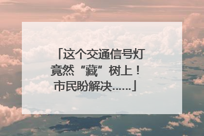 这个交通信号灯竟然“藏”树上！市民盼解决……
