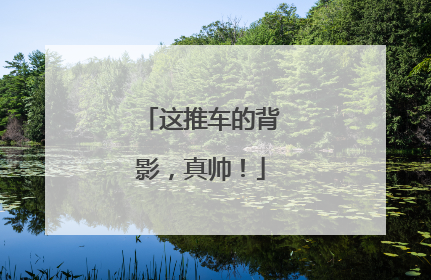 这推车的背影，真帅！