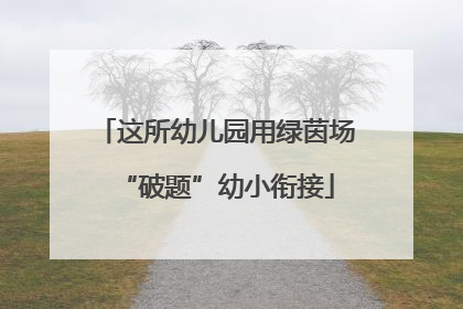 这所幼儿园用绿茵场“破题”幼小衔接