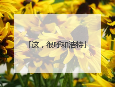这，很呼和浩特