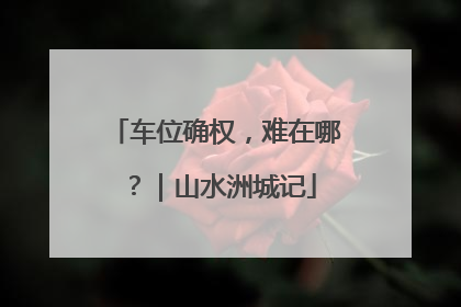车位确权，难在哪？｜山水洲城记