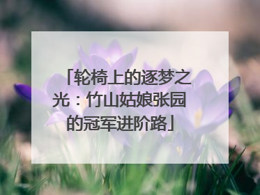 轮椅上的逐梦之光：竹山姑娘张园的冠军进阶路