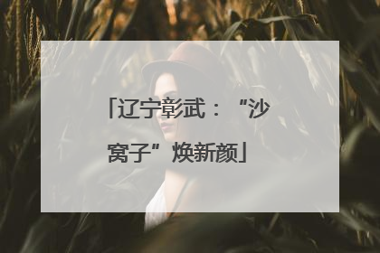 辽宁彰武：“沙窝子”焕新颜