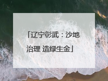 辽宁彰武：沙地治理 造绿生金