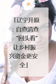 辽宁开原：自查清查“回头看” 让乡村振兴资金更安全
