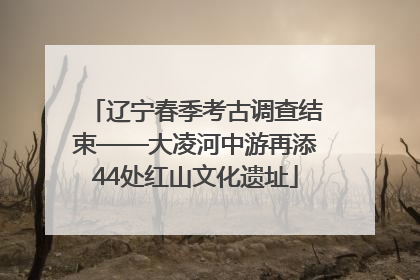 辽宁春季考古调查结束——大凌河中游再添44处红山文化遗址