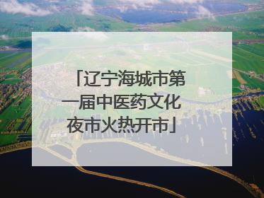 辽宁海城市第一届中医药文化夜市火热开市