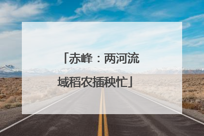 赤峰：两河流域稻农插秧忙